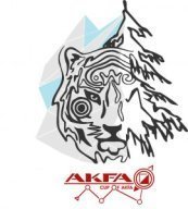 Всероссийские и Межрегиональные соревнования - «Кубок Акфы- 2025» (Финал)